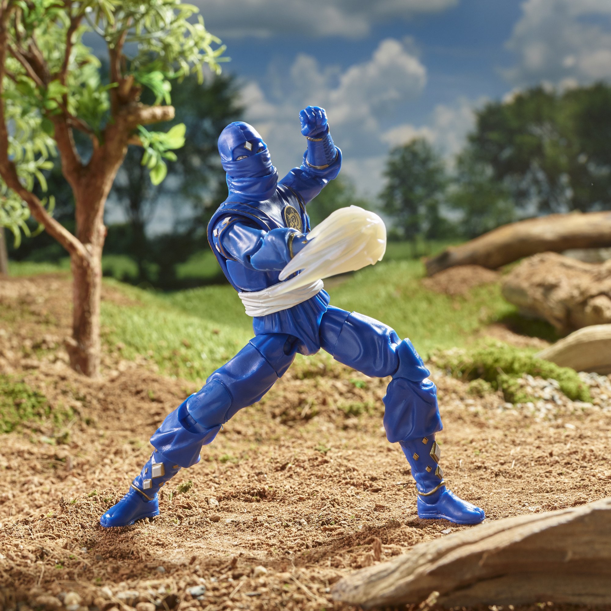 Mighty Morphin Ninja Blue Ranger