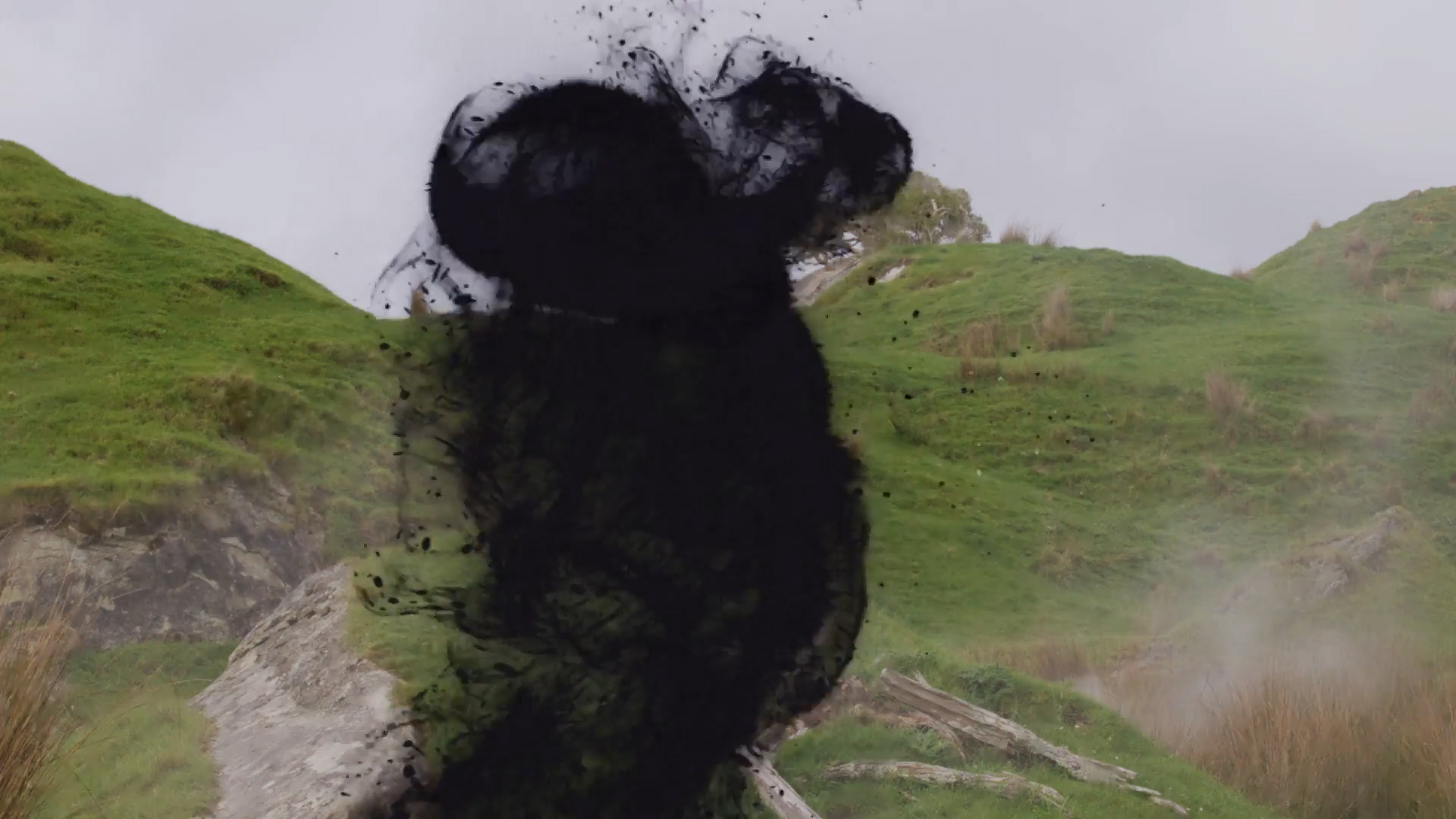 Apparition Apparition