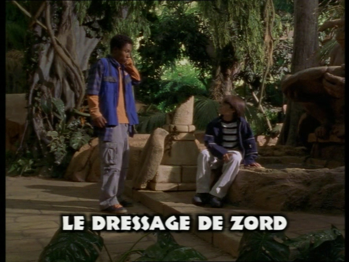 Le dressage des Zords