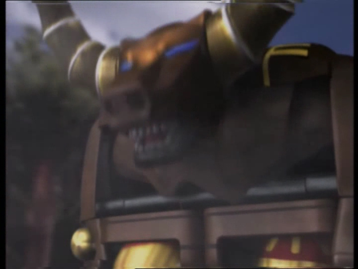 Zord Bison Marron