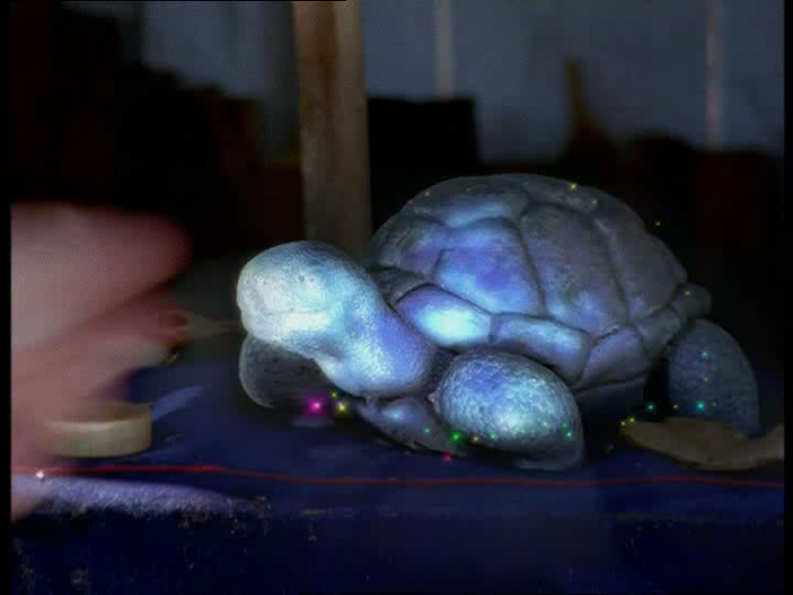 Tortue de Jade