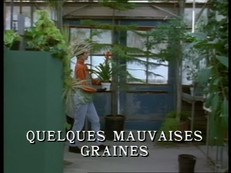 Quelques mauvaises graines