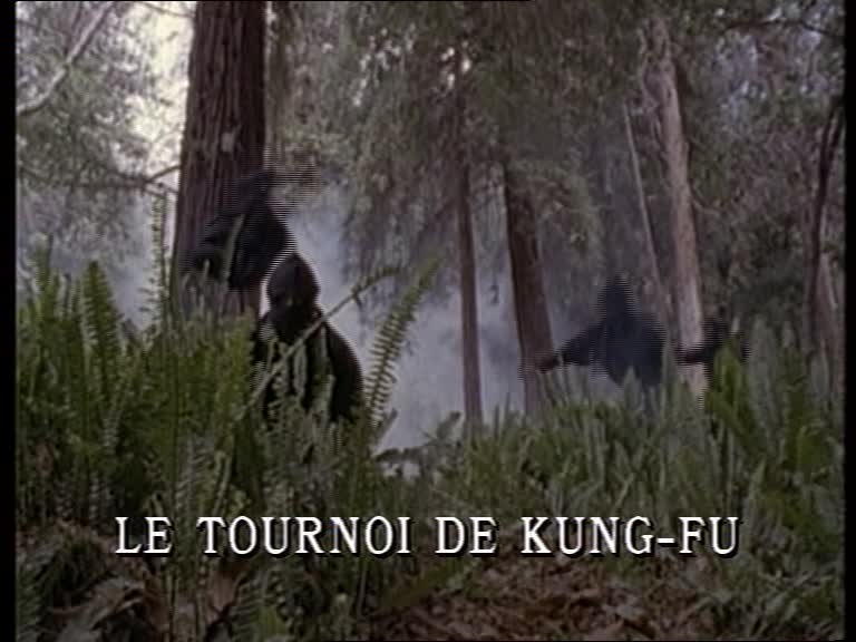 Le tournoi de kung-fu